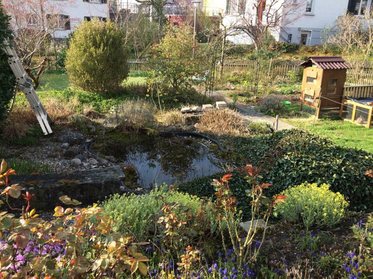 Ruhiges Gaestezimmer Winterthur Exterior foto